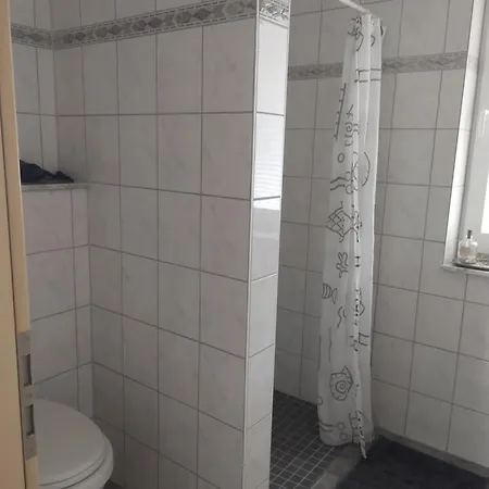 Holunderbusch * Saerbeck