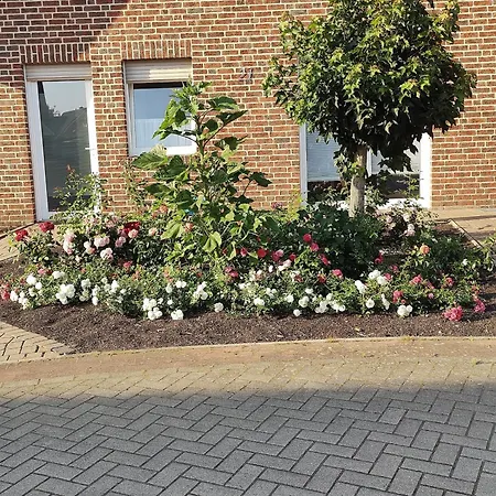 Апартаменты Holunderbusch