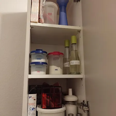 Holunderbusch * 萨尔贝克