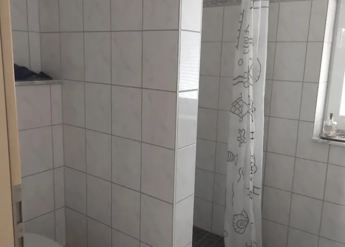 Holunderbusch * 萨尔贝克