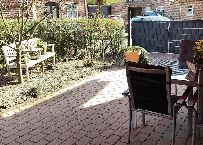 Holunderbusch * Saerbeck