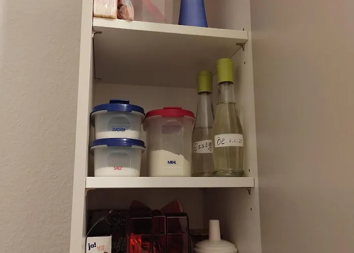 Holunderbusch * 萨尔贝克